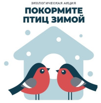 Экологическая акция "Покормите птиц зимой"!.